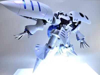 DSCN0422.jpg