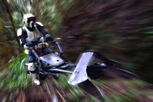 DSC_0453_996のコピー