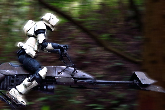 DSC_0450_995のコピー