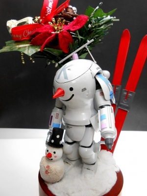 DSCN1754.jpg