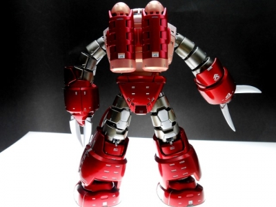 DSCN1807.jpg