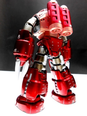 DSCN1833.jpg