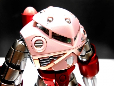 DSCN1838.jpg